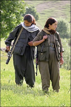 Ankara salue les efforts de l&rsquo;Iran contre le PKK