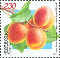 L&rsquo;Arménie attend une bonne production de fruits et légumes. Seule la récolte de l&rsquo;abricot devrait être en baisse