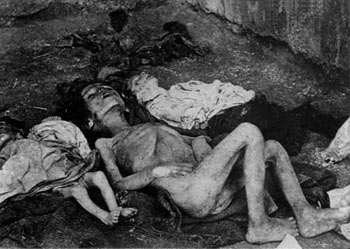 1er sondage national turc : 8,5 millions de Turcs reconnaissent le génocide arménien