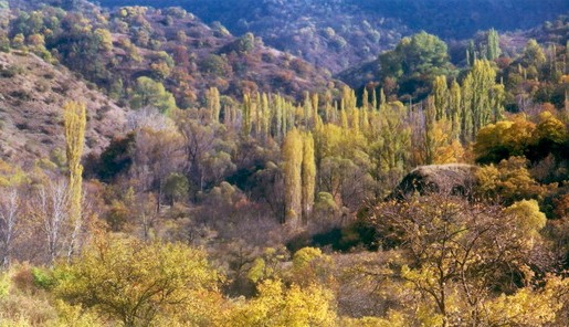 La forêt de Khosrov, réserve naturelle abriterait un complexe hôtelier en construction