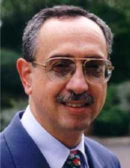 La fatwa turque : l&rsquo;article 301