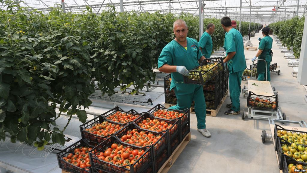 La Russie pourrait restreindre les importations de légumes arméniens