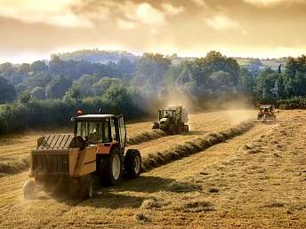 Le commerce des produits agricoles parmi les membres de l&rsquo;UEE a augmenté de 63%