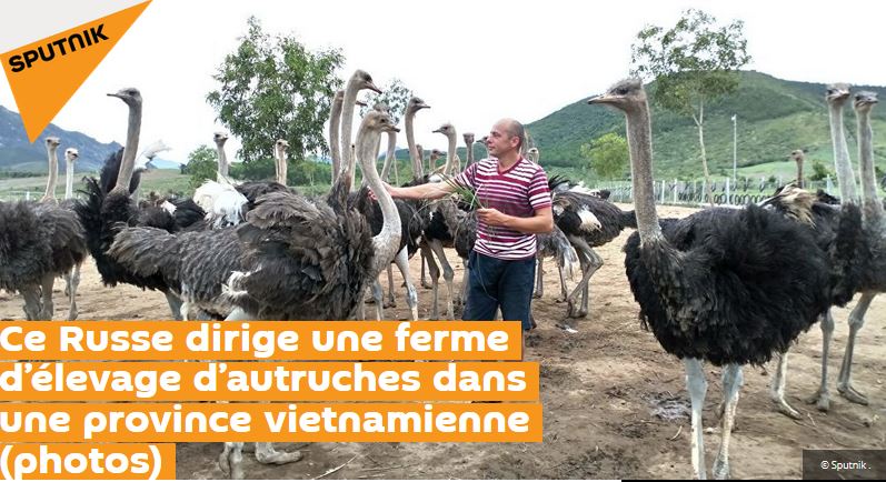 Ce Russe dirige une ferme d&rsquo;élevage d&rsquo;autruches dans une province vietnamienne