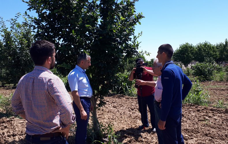 Un agronome basé en Australie mène des recherches en Artsakh