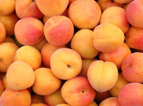 Au 15 juin l&rsquo;Arménie a doublé ses exportations de fruits et légumes avec 67 294 tonnes contre 33 819 l&rsquo;an dernier
