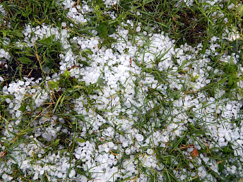 Les agriculteurs arméniens ne peuvent pas se permettre des grilles anti-grêle