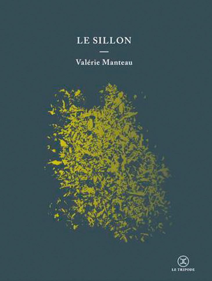 Focus sur « Le Sillon » de Valérie Manteau