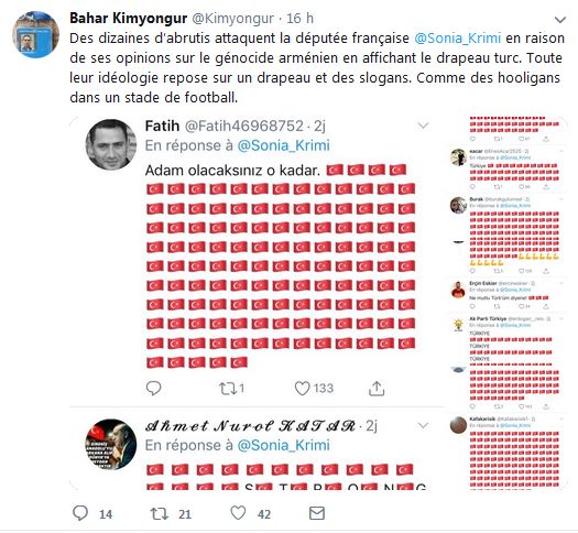 Des dizaines d’abrutis attaquent la députée française Sonia Krimi