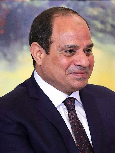 Décès de Morsi: l&rsquo;Egypte dénonce les accusations « irresponsables » d&rsquo;Erdogan