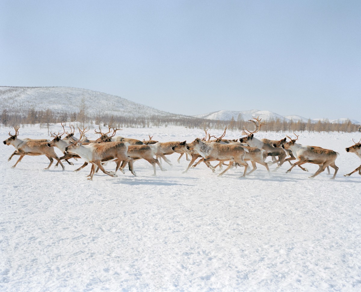 L&rsquo;Odyssée blanche du photographe Alexis Pazoumian