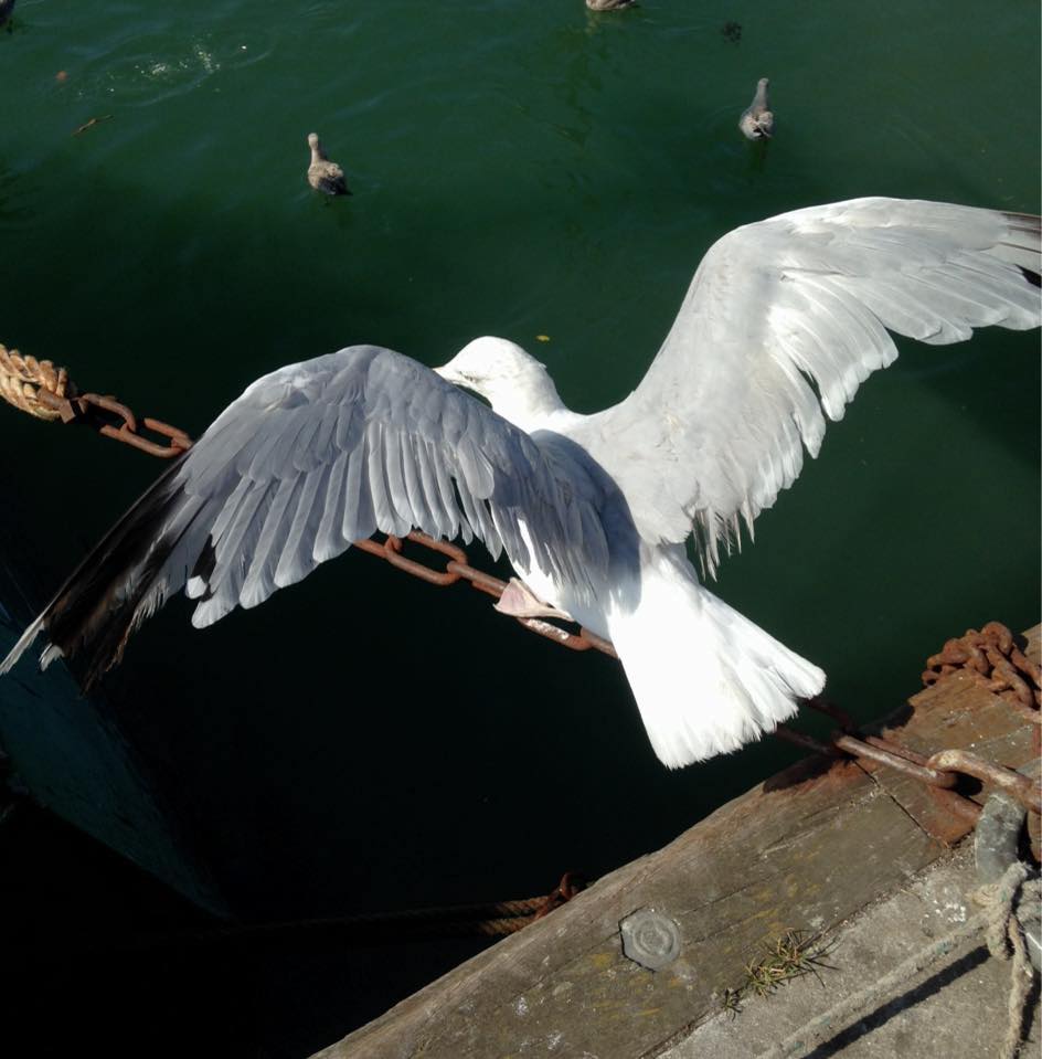 Billet d&rsquo;humeur