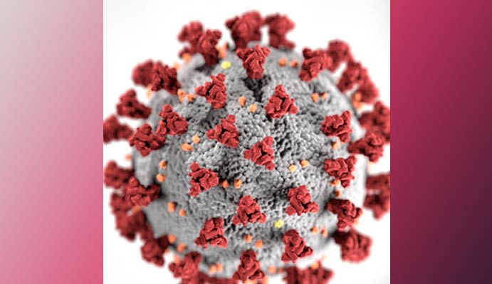 3 860 contagions au coronavirus en Arménie dont 142 au cours de la dernière journée