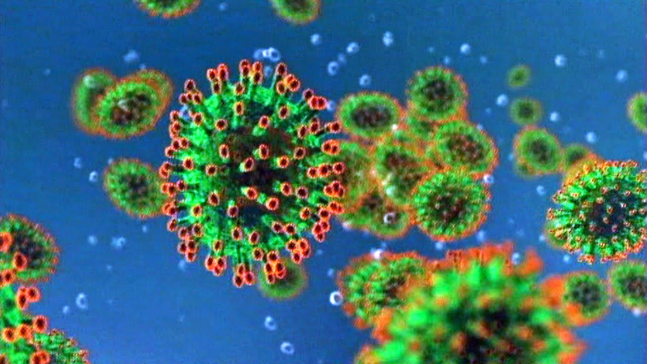 230 nouveaux cas d’infections du coronavirus en Arménie en une journée