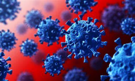 Le nombre d’infections au coronavirus en Arménie est de 6 302 et 77 décès enregistrés