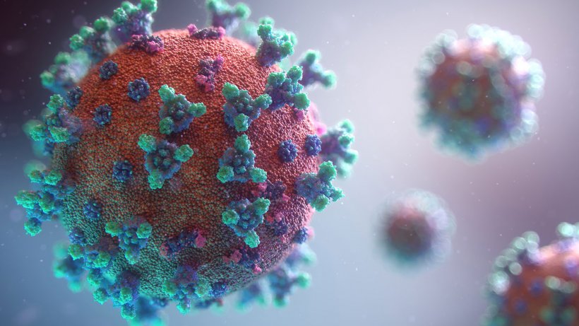 L’Arménie comptait 10 524 patients atteins par le coronavirus ce matin et 170 décès