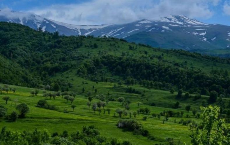 Pachinian promet de doubler la surface des forêts en Arménie jusqu’en 2050