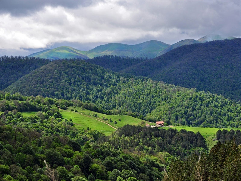 10 millions de dollars d’aide internationale pour un projet de développement des forêts en Arménie