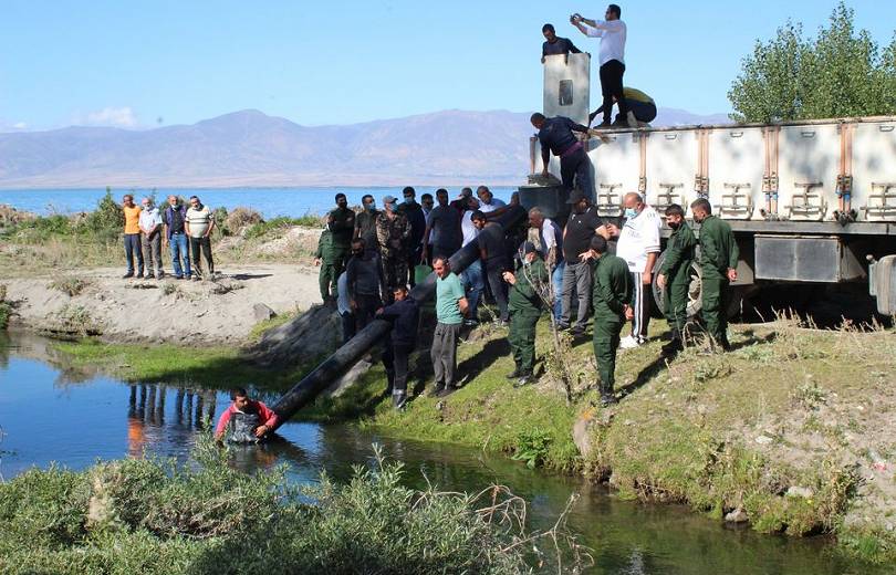 220 000 alevins lâchés dans les eaux du lac Sevan