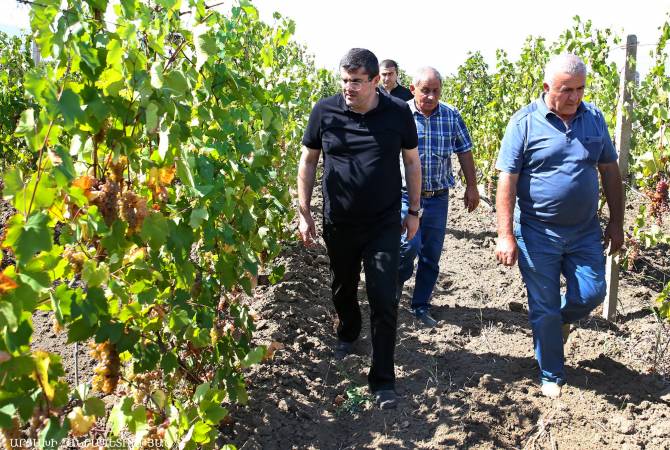 Le quartier Akna à Askeran (Artsakh) dispose d’un grand potentiel de développement de la vigne