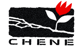 Evénements d’une extreme gravite en Artsakh : le communique de CHENE