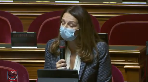 Intervention de Valérie Boyer au Sénat : « Les ultranationalistes turcs, les Loups gris, tissent leur toile en France »