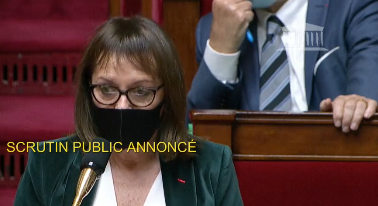 Brigitte Kuster : « C’est avec honneur et fierté que nous voterons pour cette résolution que nous proposons»
