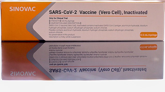 Coronavirus: la Turquie autorise le vaccin chinois de Sinovac
