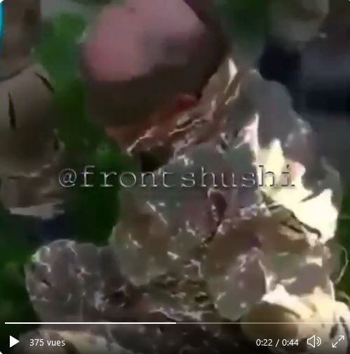 Un autre prisonnier de guerre arménien est passé à tabac par des soldats azerbaïdjanais pendant la guerre