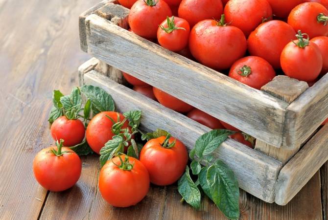La Russie lève les restrictions sur les tomates produites par 13 entreprises arméniennes
