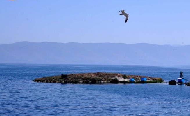 Le retour des oiseaux migrateurs dans le bassin du lac Sevan a débuté