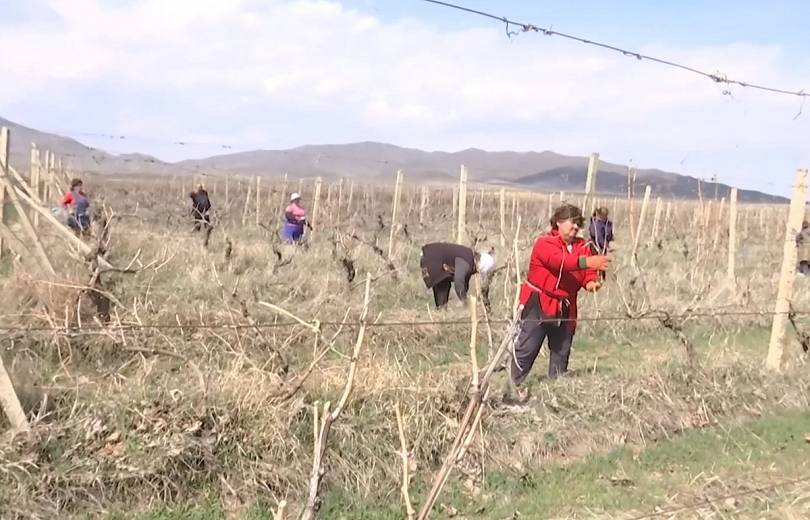 Les travaux agricoles ont commencé en Artsakh, la situation est calme, une compréhension mutuelle a été conclue entre les parties. Ministère de la Défense de Russie