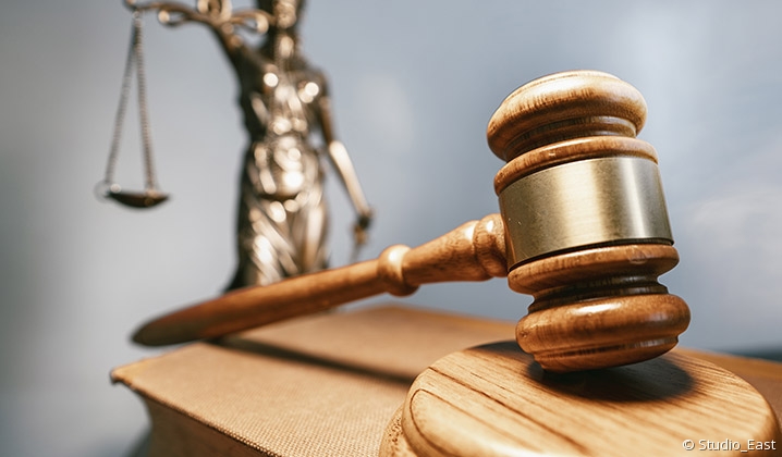 L&rsquo;article 300.1 incompatible avec la Constitution