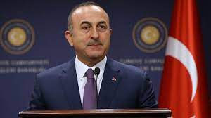 Georges Malbrunot : Çavuşoğlu à Paris en début de semaine prochaine