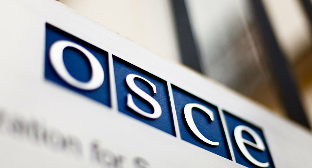 Des législatives « concurrentielles et bien organisées », selon  l&rsquo;OSCE