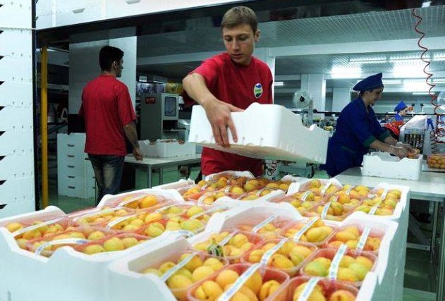 L’exportation des produits agricoles d’Arménie depuis le début de l’année a doublé par rapport à l’an dernier