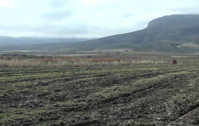 Des soldats de la paix russes ont assuré la sécurité des vignerons Arméniens lors d&rsquo;une plantation des pieds de vigne dans la région d&rsquo;Askeran en Artsakh
