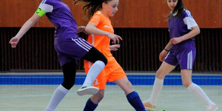Le championnat féminin d’Arménie de futsal débutera le 15 janvier