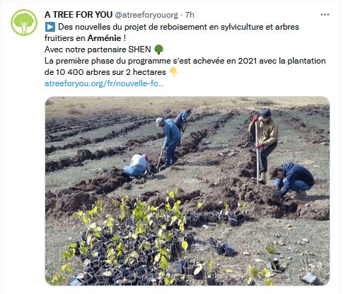 Des nouvelles du projet de reboisement en sylviculture et arbres fruitiers en Arménie !