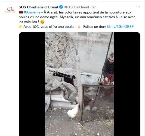 À Ararat, les volontaires apportent de la nourriture aux poules d&rsquo;une dame âgée