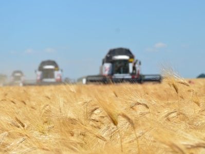 La production de céréales alimentaires en Arménie a diminué de 38%