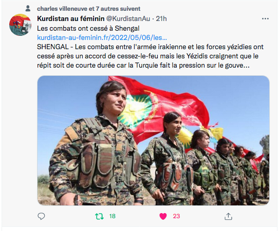 Kurdistan au féminin : arrêt des combats à Shengal