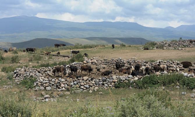 Le berger est mort de la foudre alors qu&rsquo;il faisait paître du bétail à Nerkin Shorja
