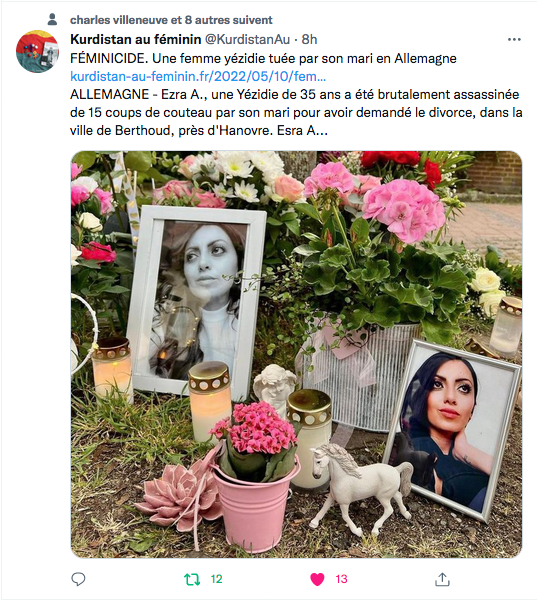 Kurdistan au féminin : féminicide à Hanovre