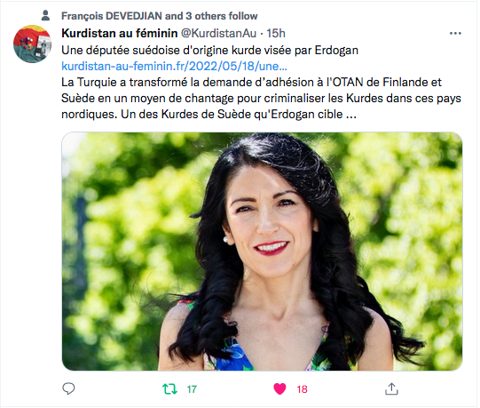 Kurdistan au féminin : une députée suédoise visée par Erdogan