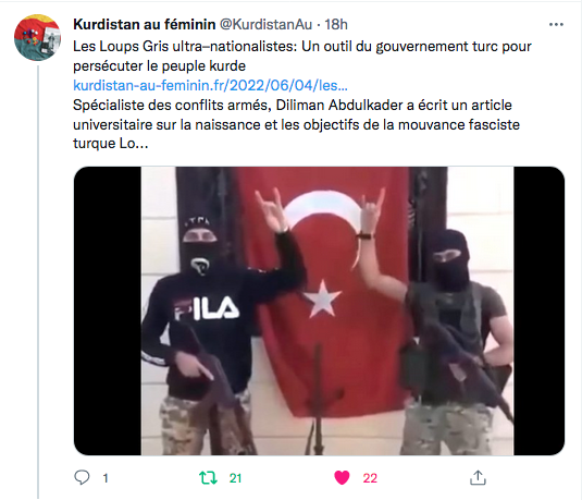 Kurdistan au féminin : Loups gris, un outil du gouvernement turc