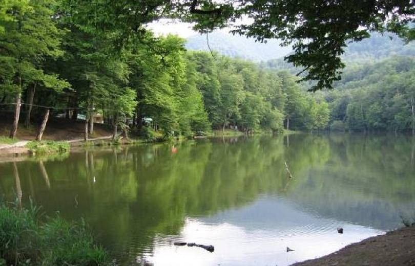 Des touristes Français perdus dans la forêt sur la route vers « Barz Lidj » (Lac Clair) près de Dilidjan en Arménie, ont été retrouvés par les sauveteurs