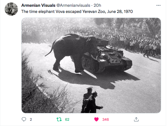 Armenian visual : l&rsquo;éléphant Vola s&rsquo;échappe du zoo d&rsquo;Erevan en 1970