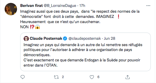 Berivan Firat : Erdogan Suède, de l&rsquo;imagination au cauchemar