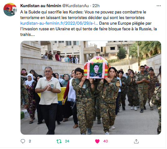 Kurdistan au féminin : qui sont les terroristes ?